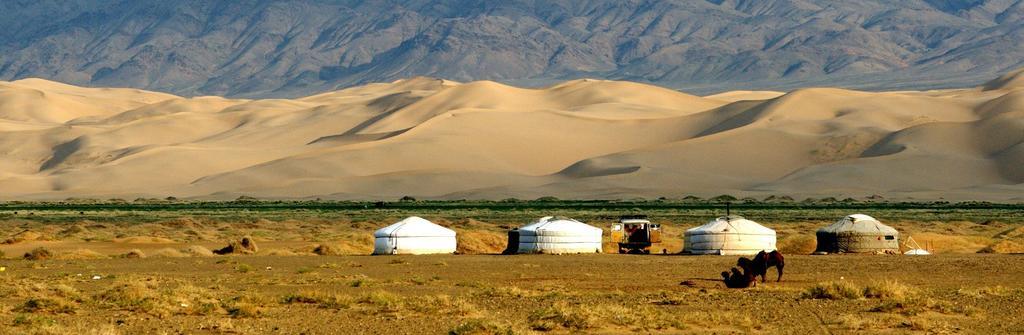 Majestic Gobi Tour Operator And Guest House Oulan-Bator Extérieur photo